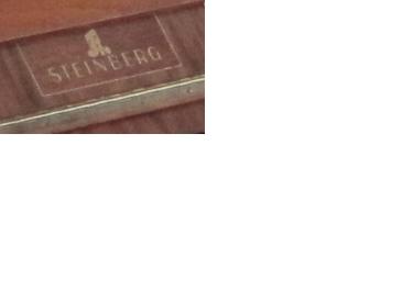 steinberg_logo.jpg